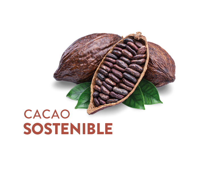 Cacao de origen sostenible