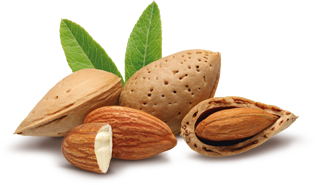 Almond