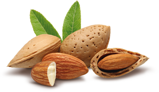 Mini almond